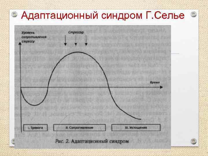 Адаптационный синдром Г. Селье 