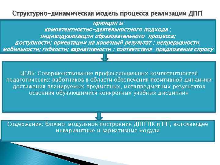   Структурно-динамическая модель процесса реализации ДПП      принцип ы