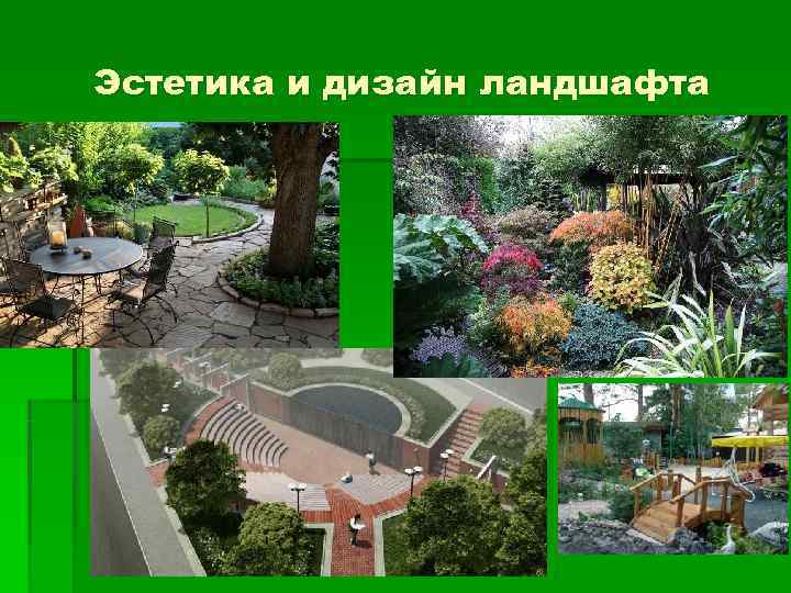 Эстетика и дизайн ландшафта 