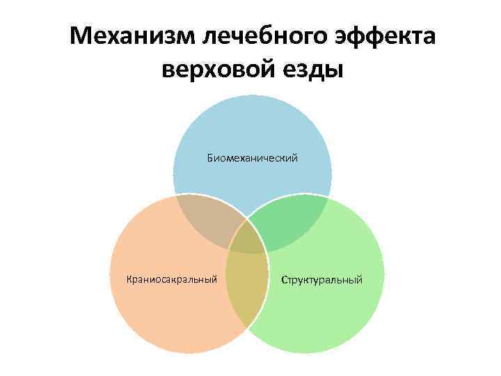Механизм лечебного эффекта верховой езды Биомеханический Краниосакральный Структуральный 