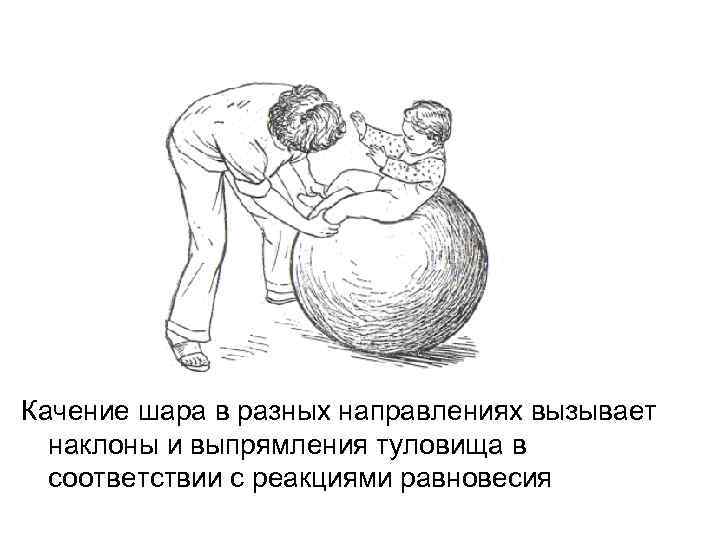 Качение шара в разных направлениях вызывает  наклоны и выпрямления туловища в  соответствии