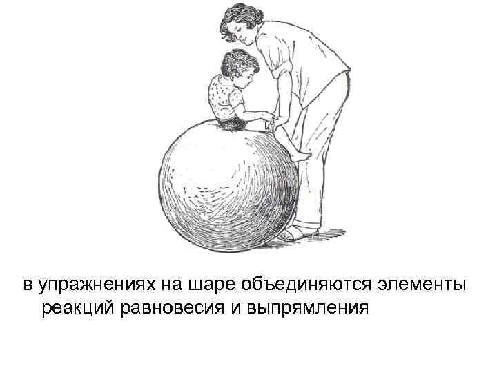 в упражнениях на шаре объединяются элементы  реакций равновесия и выпрямления 