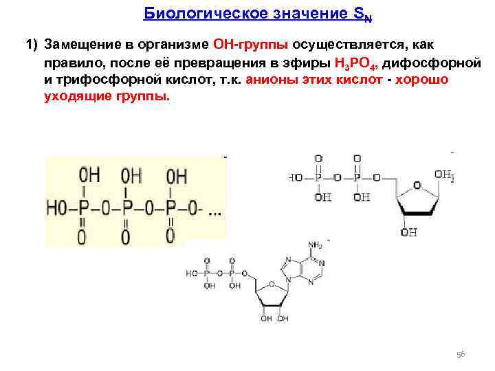  Биологическое значение SN 1) Замещение в организме ОН-группы осуществляется, как правило, после её