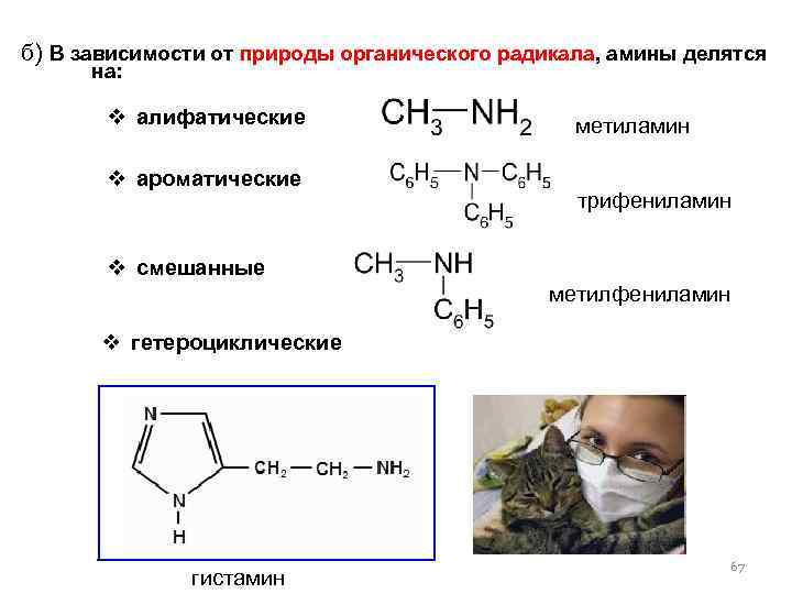 б) В зависимости от природы органического радикала, амины делятся на: v алифатические метиламин v