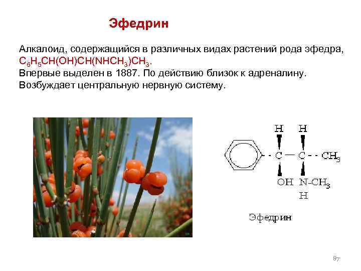  Эфедрин Алкалоид, содержащийся в различных видах растений рода эфедра, C 6 H 5