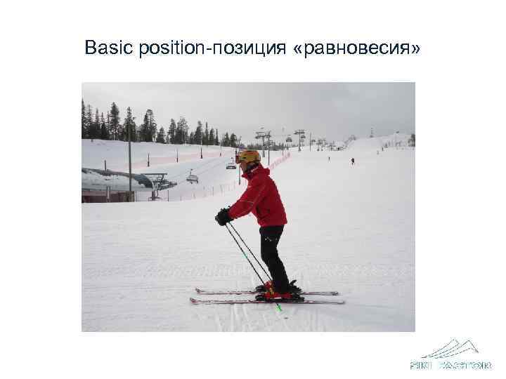 Alpine basic position 