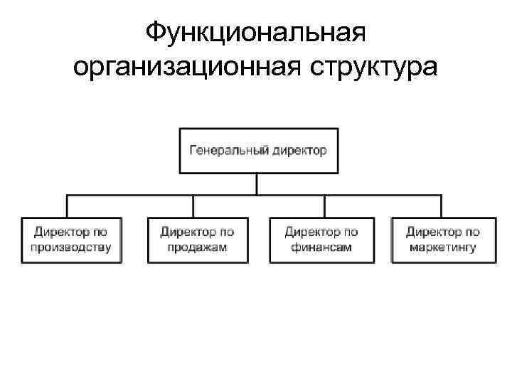  Функциональная организационная структура 