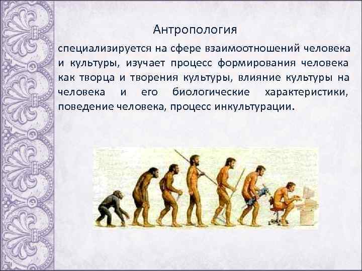  Антропология специализируется на сфере взаимоотношений человека и культуры, изучает процесс формирования человека как