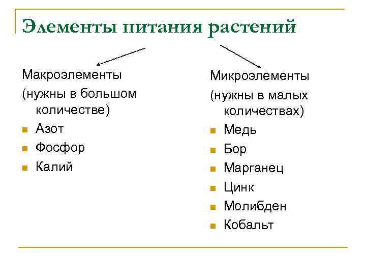 Элементы питания растений Макроэлементы Микроэлементы (нужны в большом (нужны в малых количестве) количествах) n