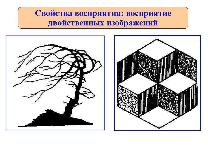 Свойства восприятия: восприятие  двойственных изображений 