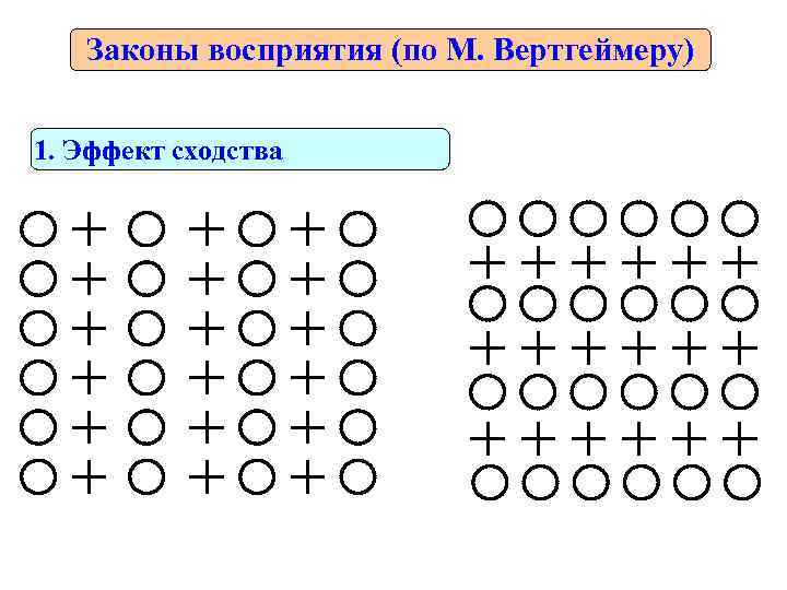   Законы восприятия (по М. Вертгеймеру)  1. Эффект сходства 