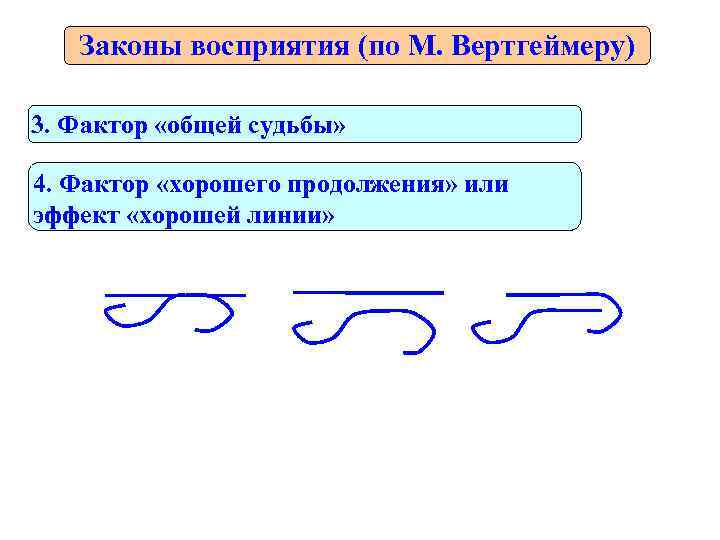   Законы восприятия (по М. Вертгеймеру) 3. Фактор «общей судьбы»  4. Фактор
