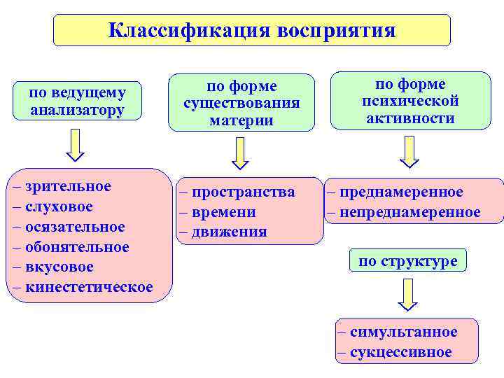 Классификация восприятия схема