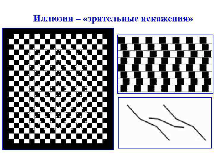Иллюзии – «зрительные искажения» 