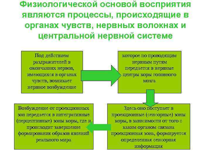 Структурность восприятия картинки