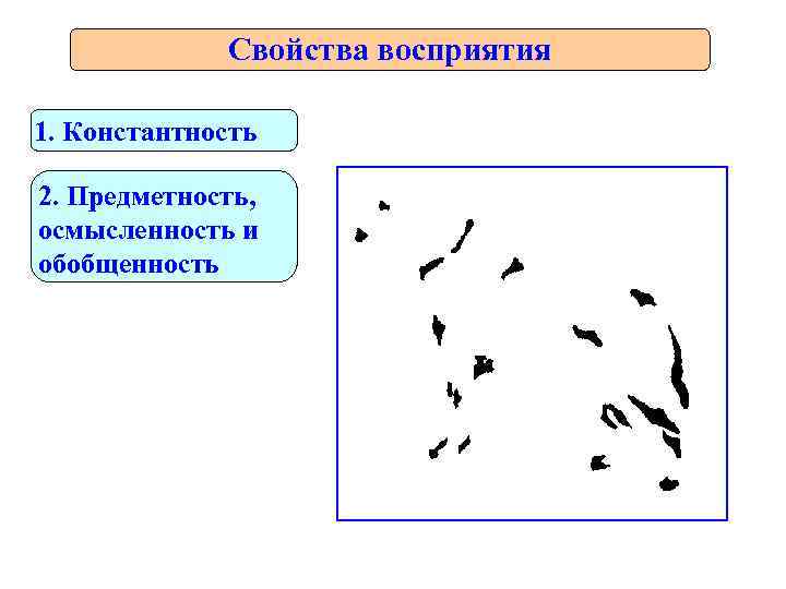    Свойства восприятия 1. Константность 2. Предметность, осмысленность и обобщенность 