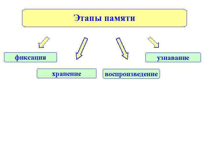  Этапы памяти фиксация узнавание хранение воспроизведение 