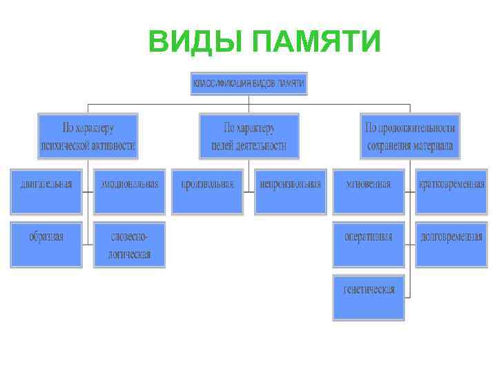 ВИДЫ ПАМЯТИ 