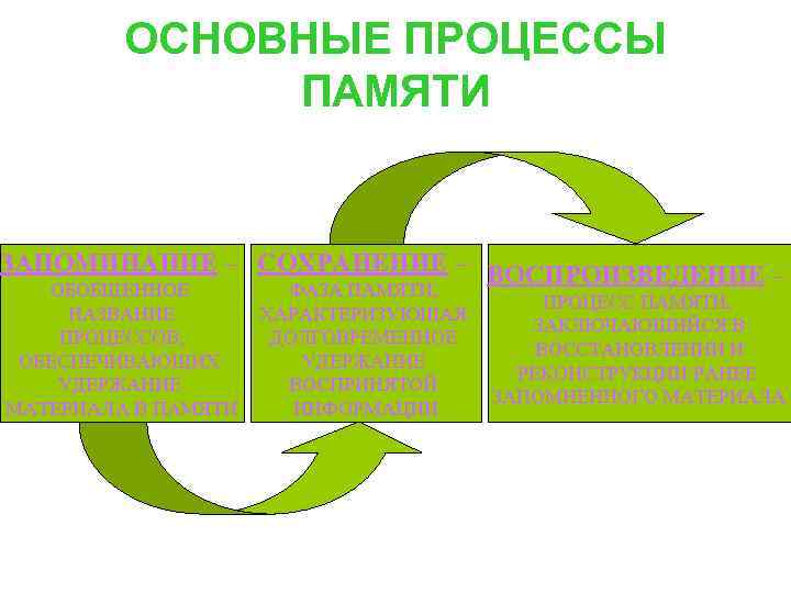  ОСНОВНЫЕ ПРОЦЕССЫ ПАМЯТИ ЗАПОМИНАНИЕ – СОХРАНЕНИЕ – ВОСПРОИЗВЕДЕНИЕ – ОБОБЩЕННОЕ ФАЗА ПАМЯТИ, ПРОЦЕСС