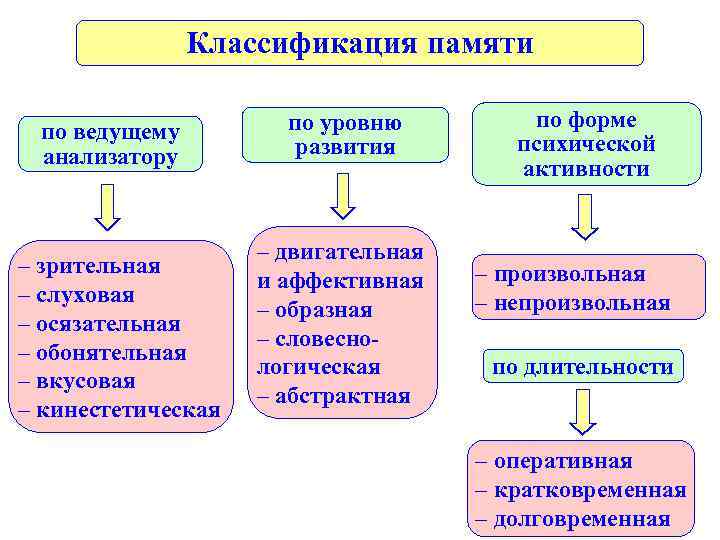  Классификация памяти по уровню по форме по ведущему развития психической анализатору активности –