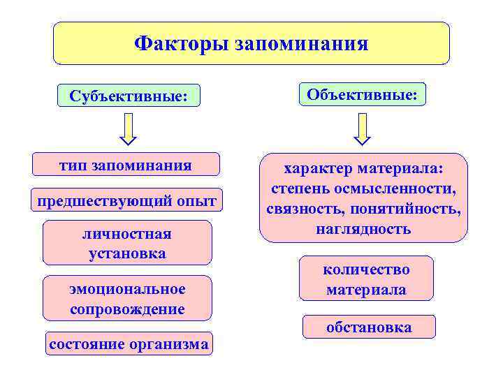 Запоминание факторы. Факторы запоминания. Факторы эффективного запоминания. Факторы запоминания в психологии. Факторы запоминания информации.