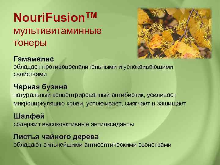 Nouri. Fusion. TM мультивитаминные тонеры Гамамелис обладает противовоспалительными и успокаивающими свойствами Черная бузина натуральный