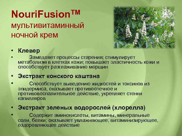 Nouri. Fusion. TM мультивитаминный ночной крем • Клевер • Замедляет процессы старения; стимулирует метаболизм