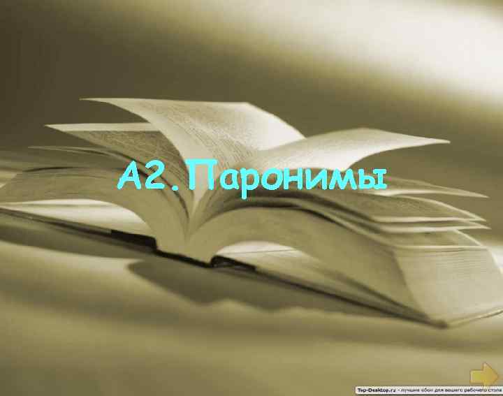 А 2. Паронимы 