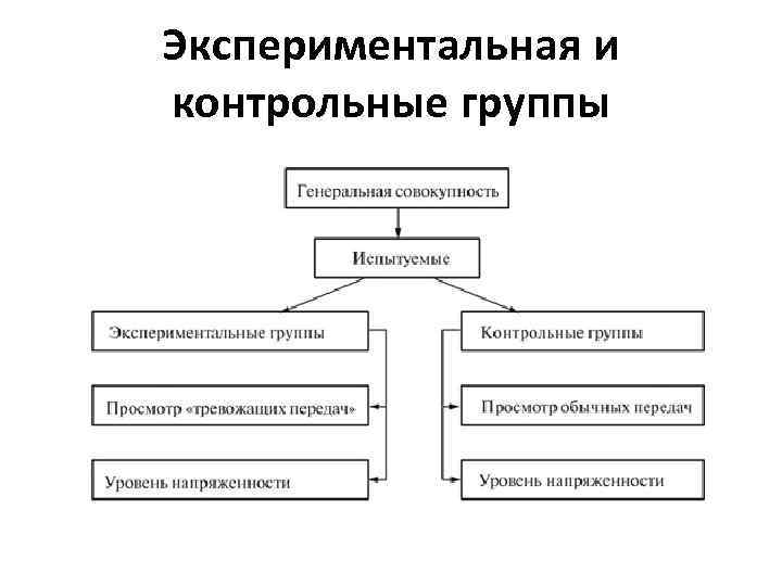 Экспериментальная и контрольные группы 