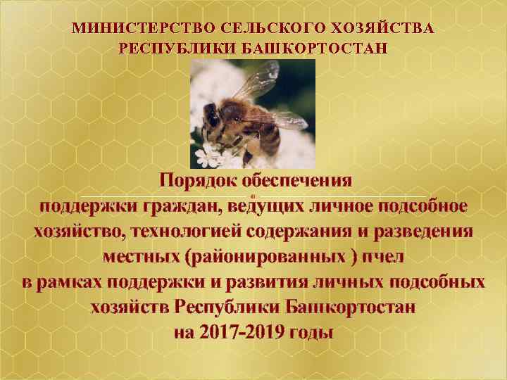  МИНИСТЕРСТВО СЕЛЬСКОГО ХОЗЯЙСТВА РЕСПУБЛИКИ БАШКОРТОСТАН Порядок обеспечения поддержки граждан, ведущих личное подсобное хозяйство,