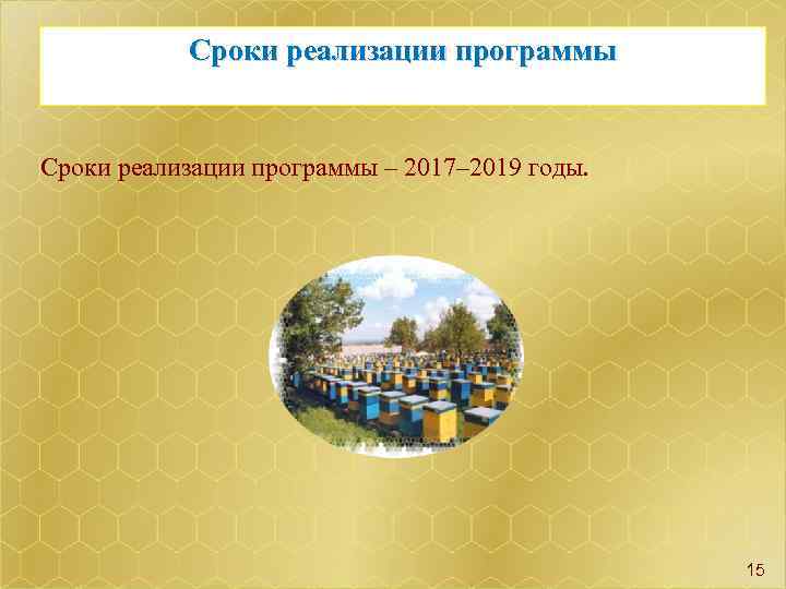  Сроки реализации программы – 2017– 2019 годы. 15 