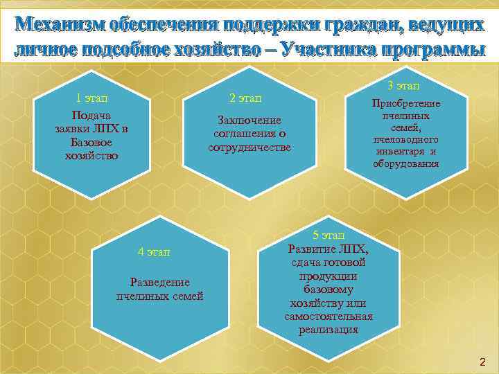 Механизм обеспечения поддержки граждан, ведущих личное подсобное хозяйство – Участника программы 3 этап 1