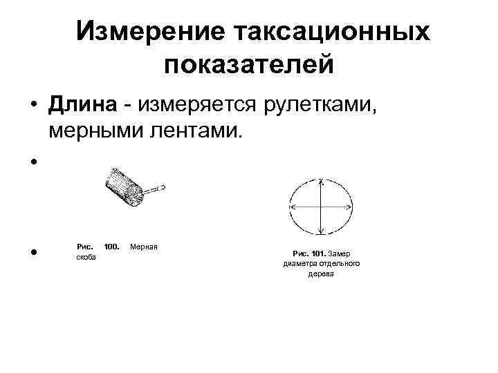 Измерение таксационных показателей • Длина измеряется рулетками, мерными лентами. • • Рис. 100. скоба