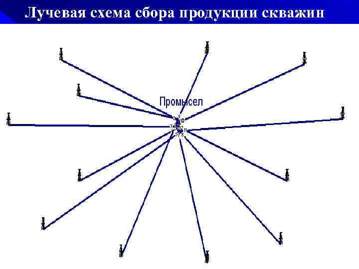 Лучевые схемы пауки это