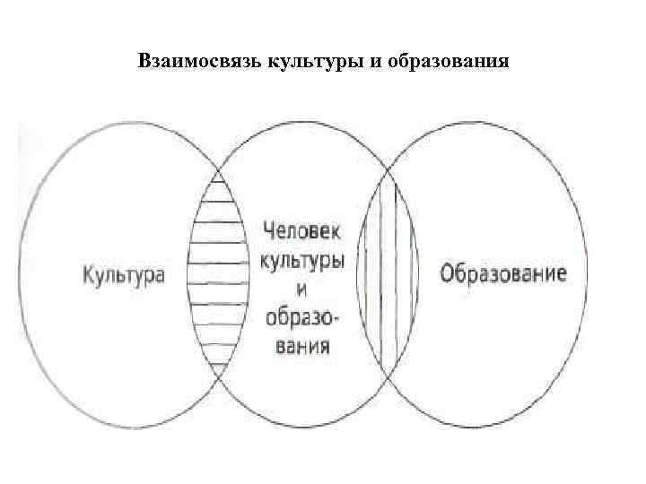 Взаимосвязь культуры и образования  Анализ взаимосвязи культуры