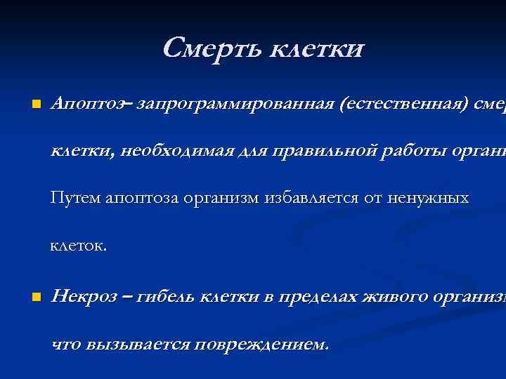 Смерть клетки n Апоптоз– запрограммированная (естественная) смер клетки, необходимая для правильной работы органи Путем