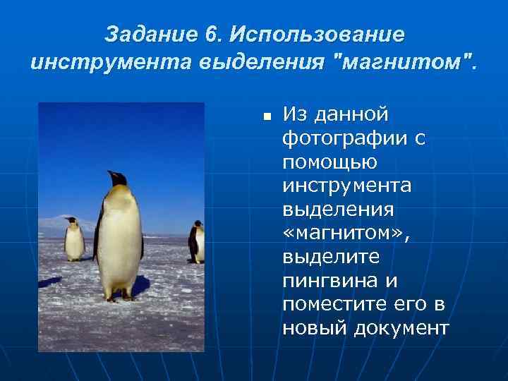 Задание 6. Использование инструмента выделения "магнитом". n Из данной фотографии с помощью инструмента выделения