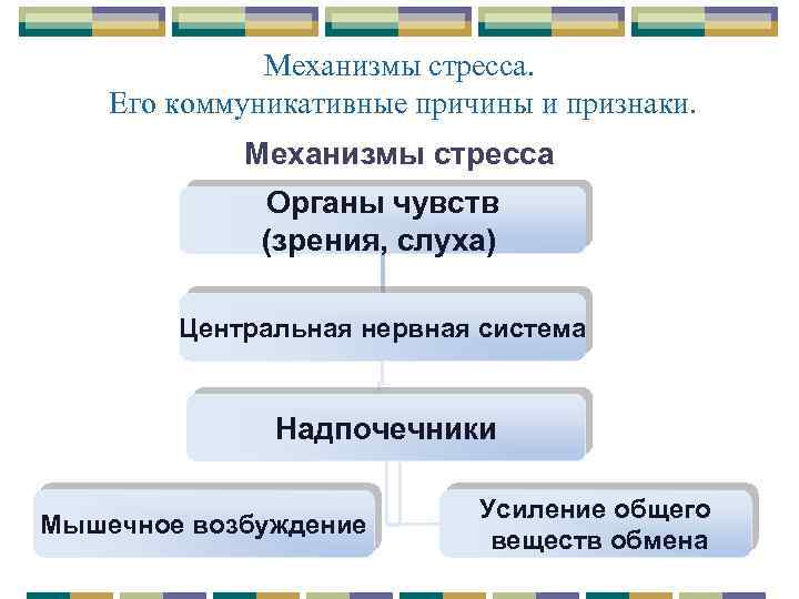 Механизмы стресса. Его коммуникативные причины и признаки. Механизмы стресса Органы чувств (зрения, слуха) Центральная