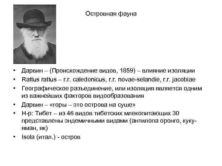 Островная фауна • Дарвин – (Происхождение видов, 1859) – влияние изоляции • Rattus rattus