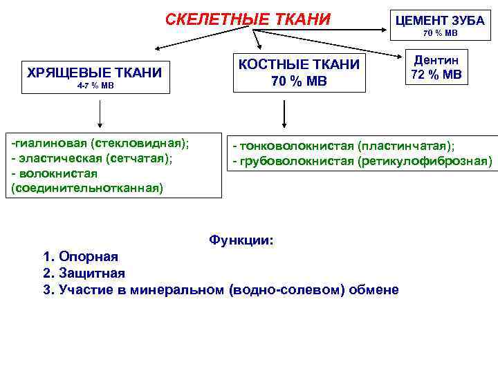 СКЕЛЕТНЫЕ ТКАНИ ХРЯЩЕВЫЕ ТКАНИ 4 -7 % МВ -гиалиновая (стекловидная); - эластическая (сетчатая); -