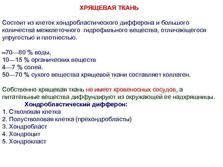ХРЯЩЕВАЯ ТКАНЬ Состоит из клеток хондробластического дифферона и большого количества межклеточного гидрофильного вещества, отличающегося