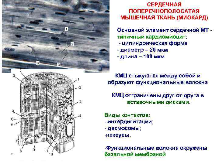 Мебельные ткани панорама мт