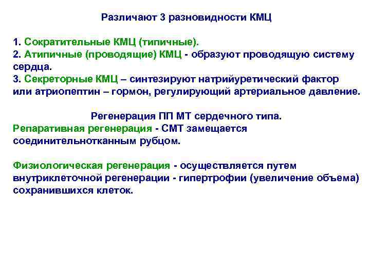 Различают 3 разновидности КМЦ 1. Сократительные КМЦ (типичные). 2. Атипичные (проводящие) КМЦ - образуют