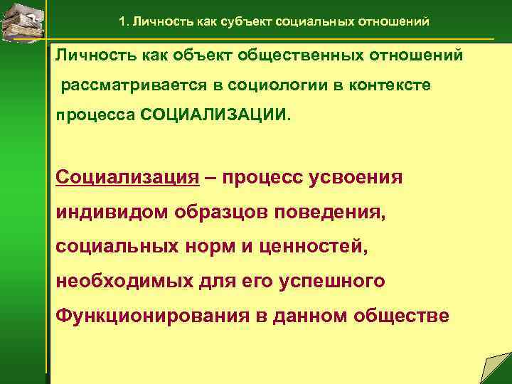 Процесс усвоения индивидом образцов поведения социальных норм