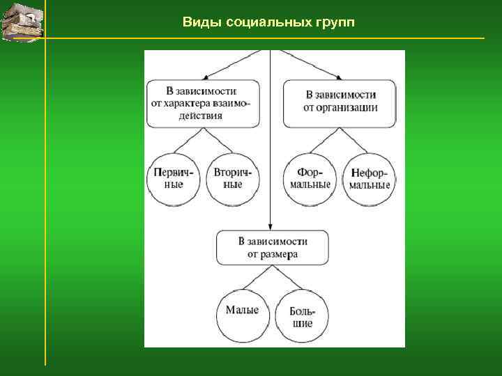 Виды социальных групп 