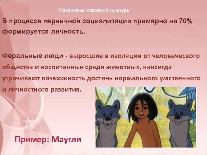Механизмы освоения культуры В процессе первичной социализации примерно на 70% формируется личность. Феральные люди