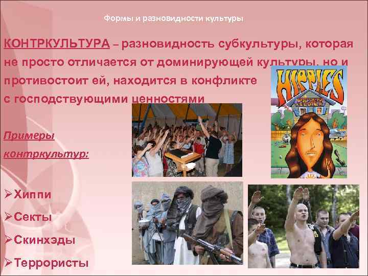 Формы и разновидности культуры КОНТРКУЛЬТУРА – разновидность субкультуры, которая не просто отличается от доминирующей