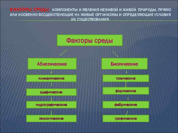 ФАКТОРЫ СРЕДЫ - КОМПОНЕНТЫ И ЯВЛЕНИЯ НЕЖИВОЙ И ЖИВОЙ ПРИРОДЫ, ПРЯМО ИЛИ КОСВЕННО ВОЗДЕЙСТВУЮЩИЕ