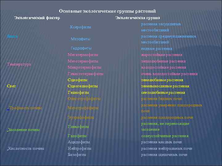 Основные экологические группы растений Экологический фактор Ксерофиты Влага Температура Свет Трофность почвы Мезофиты Гидрофиты