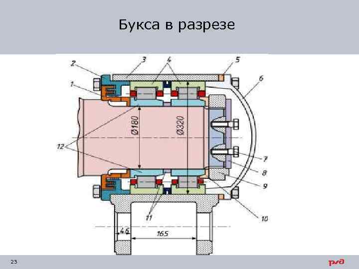 Букса в разрезе 23 